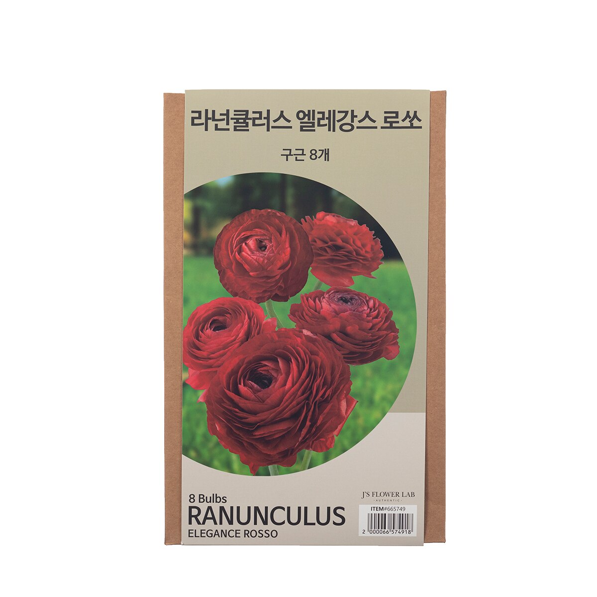 라넌큘러스 구근 / 최소구매 2 - 엘레강스 로쏘 라넌큘러스 구근 / 최소구매 2 - 엘레강스 로쏘