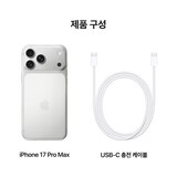 Apple 아이폰 17 프로 맥스 512GB 실버 Apple 아이폰 17 프로 맥스 512GB 실버