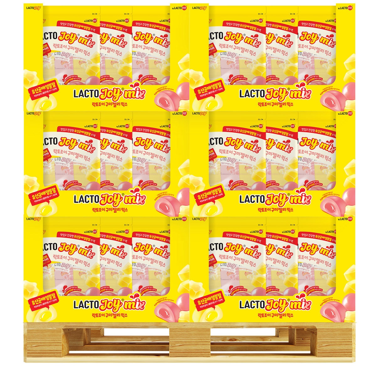 종근당건강 락토조이 구미젤리 600g x 144