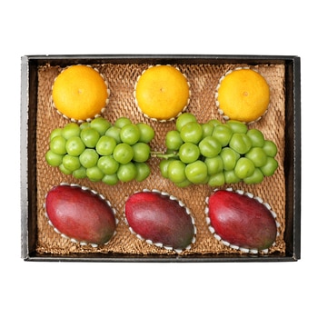 샤인머스켓&애플망고&황금향세트3.3kg