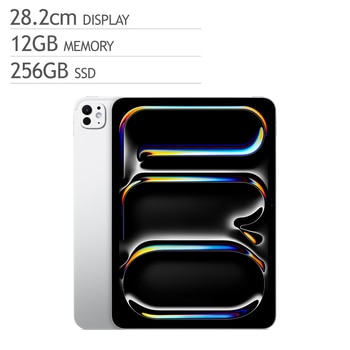 Apple 아이패드 프로 11 M5 Wifi 256GB