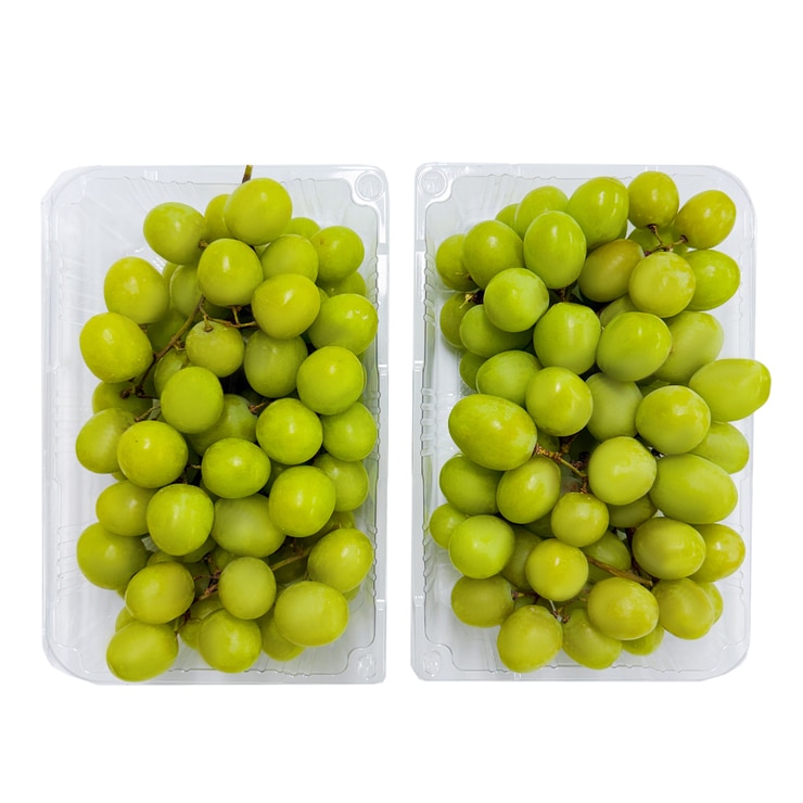 씨없는 청포도 2kg 씨없는 청포도 2kg