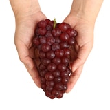 델라웨어 포도 1kg 델라웨어 포도 1kg