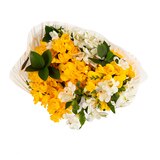 제이스플라워랩 프리지아 스프링 꽃다발