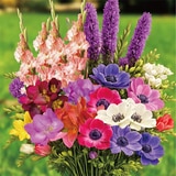 봄믹스 구근 / 최소구매 2