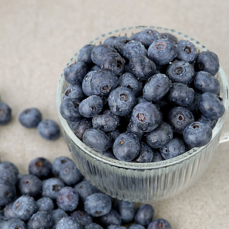 국내산블루베리 500g x 2팩