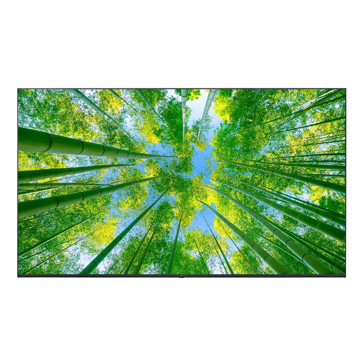 엘지 4K UHD TV 75UQ8300NNA 189cm (75)