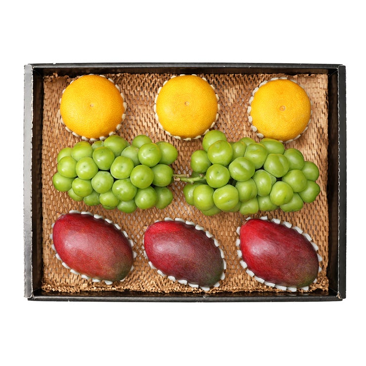 샤인머스켓&애플망고&황금향세트3.3kg 샤인머스켓&애플망고&황금향세트3.3kg