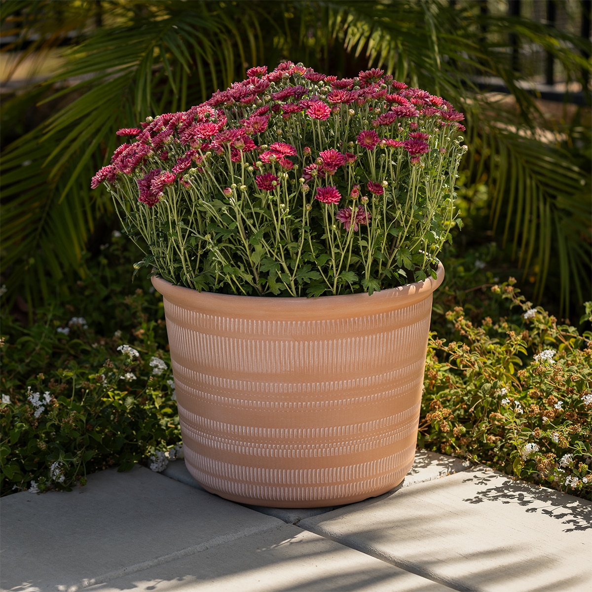 포럼 레진 화분 3개 포럼 레진 화분 3개