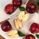 피치애플 5kg 피치애플 5kg