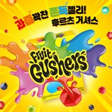 후르츠 거셔스 젤리 1000g / 40g x 25 팩