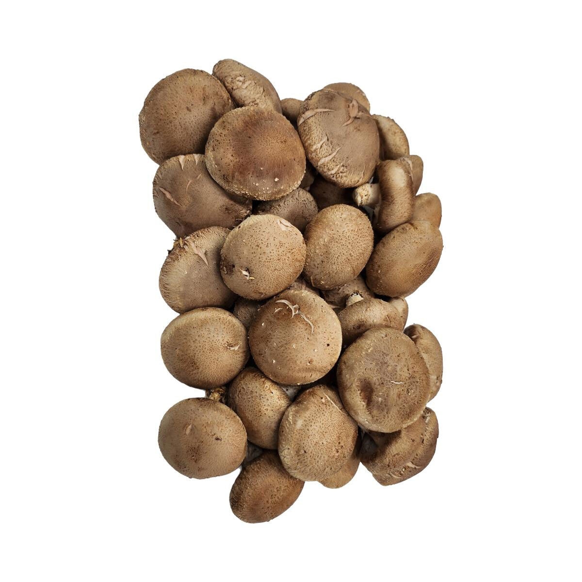 유기농 표고버섯 200g x 2ct x 2