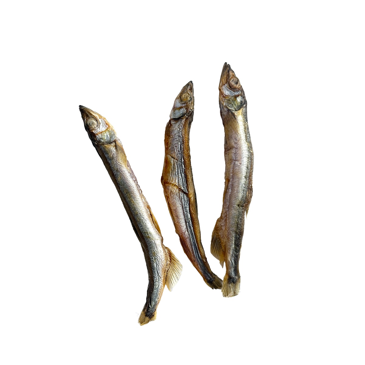 아르르 토이트릿 열빙어 65g x 3