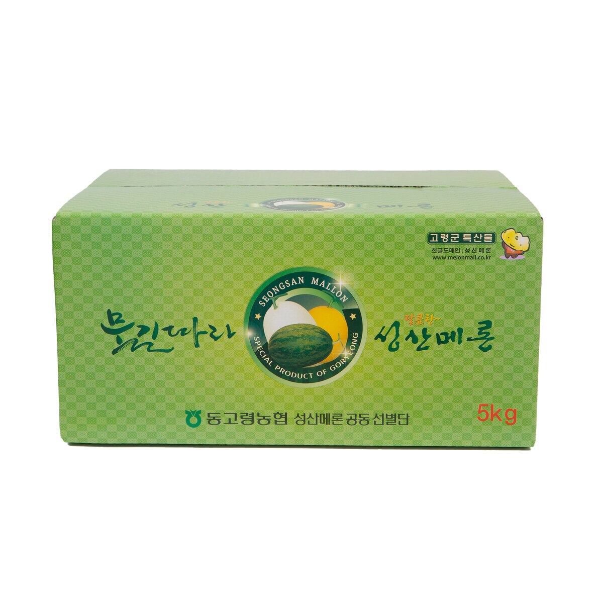 양구 메론 5kg (4-5입)