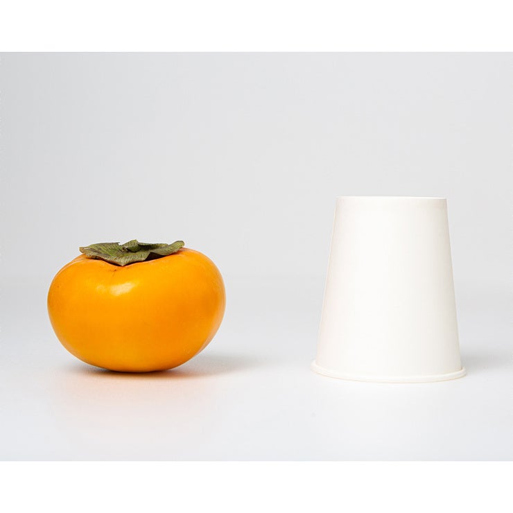 단감 5kg (27입내외)