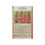 글라디올러스 구근 / 최소구매 2 - 트레이더혼 글라디올러스 구근 / 최소구매 2 - 트레이더혼