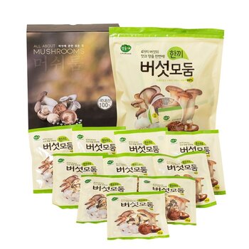 일품채 모둠 한끼 버섯 10g x 10