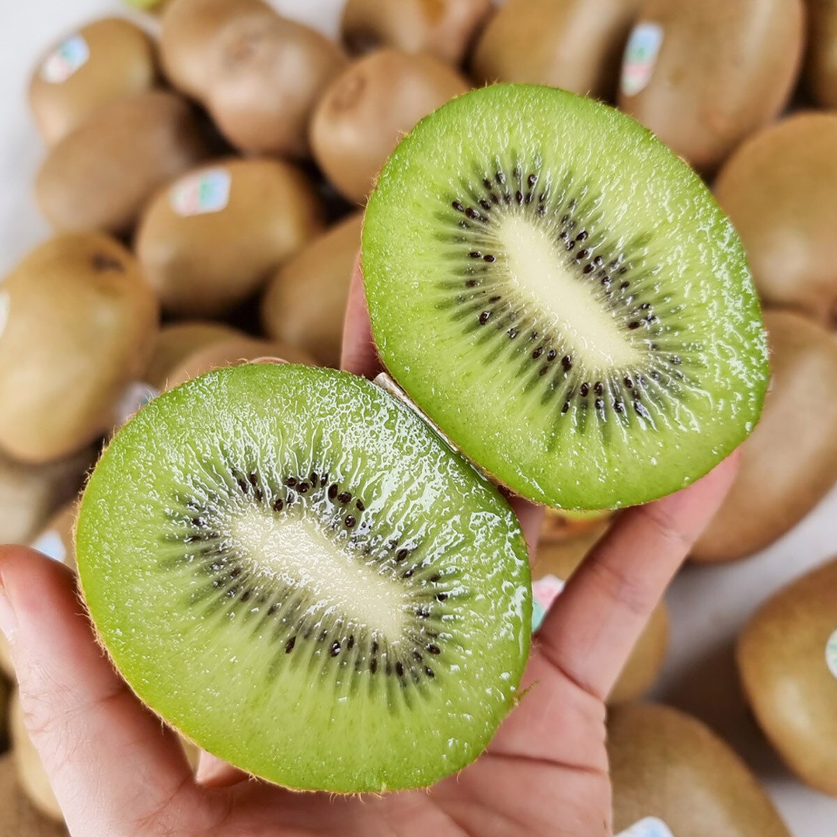 뉴질랜드제스프리점보그린키위선물세트5.4kg