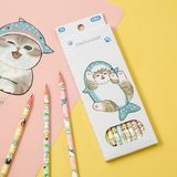 모프샌드 스위츠& 상어 연필 10개 x 10세트