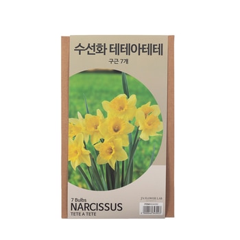 수선화 구근 / 최소구매 2