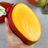 애플망고 & 골드키위 선물세트 4.3kg 애플망고 & 골드키위 선물세트 4.3kg
