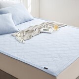 박홍근홈패션 냉감 메쉬패드 - 퀸, 블루