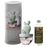 아로마코 선인장 디퓨저  100ml   + 리필  200ml