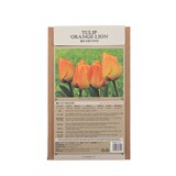 튤립 구근 / 최소구매 2 - 오렌지 라이언