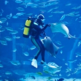 아쿠아플라넷 이용권 (일산점)