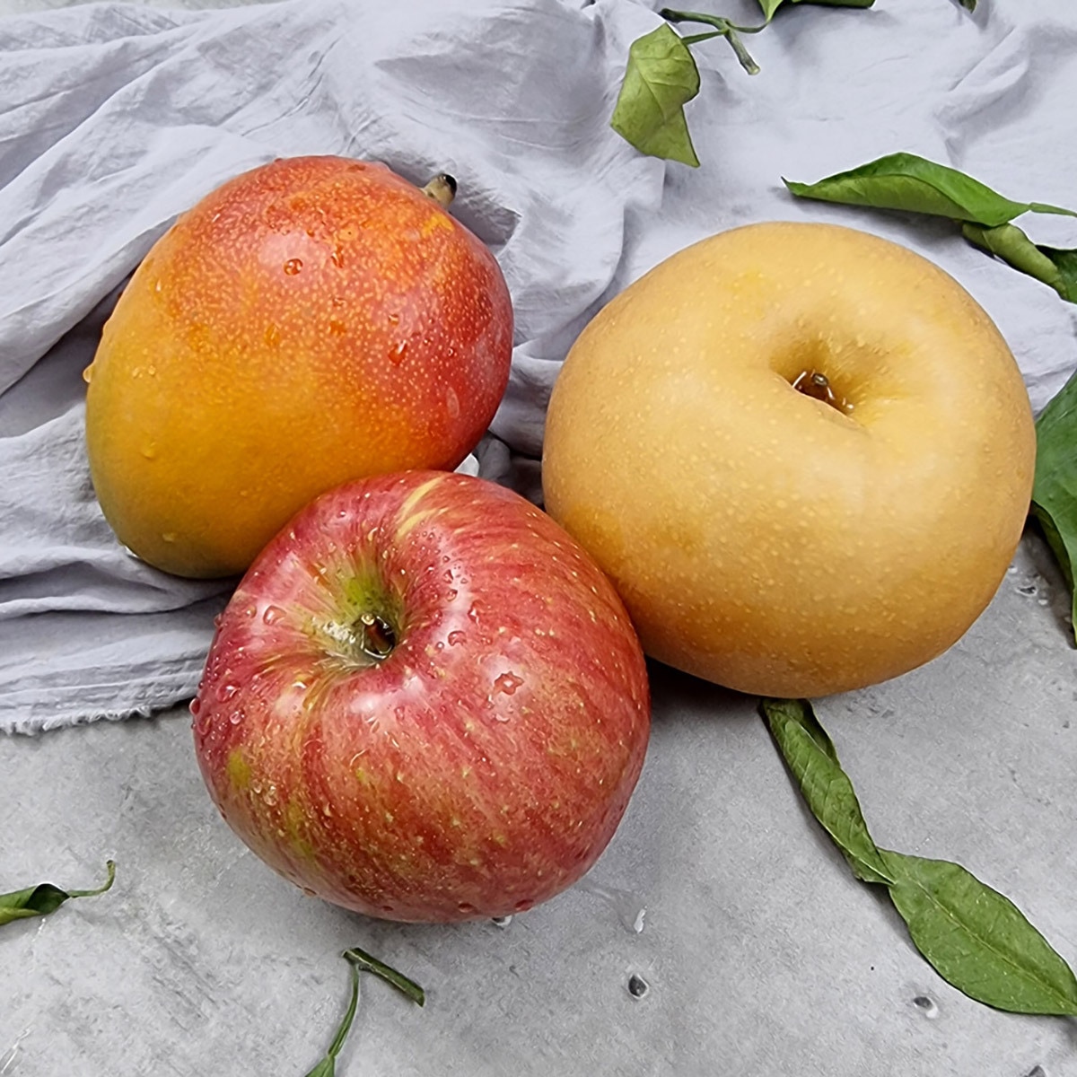 사과&배& 애플망고 세트 5.1kg (12ea)