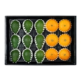 아보카도&천혜향세트4.5kg