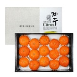 제주 레드향 선물세트5kg(10~18입)