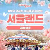 서울랜드 오후 이용권 (After 4)