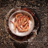 파이어폭스 BBQ 석쇠 5개입 / 최소구매 2