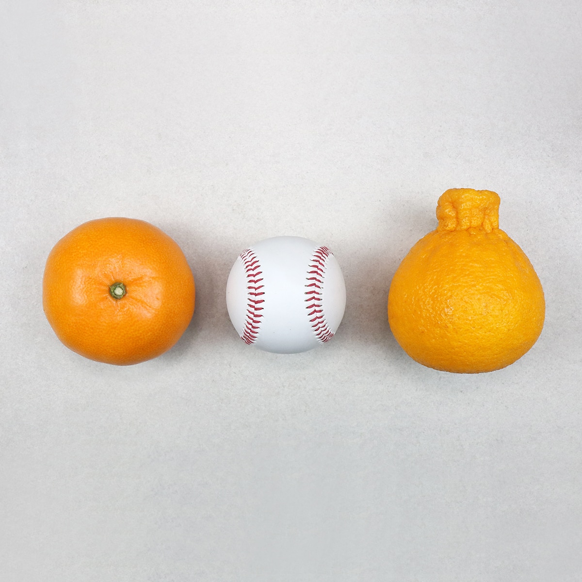 천혜향&한라봉세트5kg