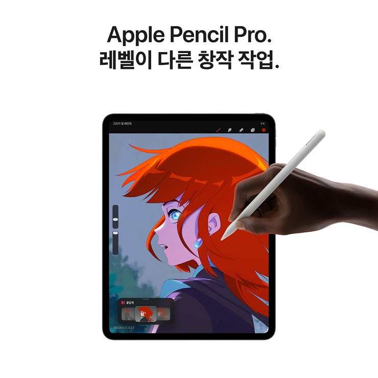 Apple 아이패드 프로 13 M5 Wifi 512GB 스페이스 블랙