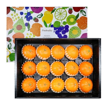 천혜향 & 레드향세트5kg