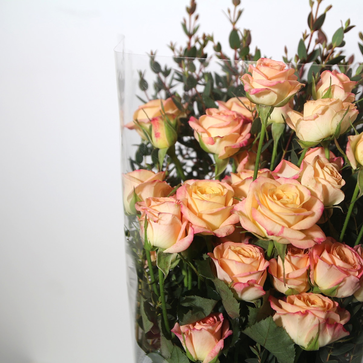 꽃다발 미니 장미 & 파블로 - (장미 - 살몬, 파블로 - 그린)