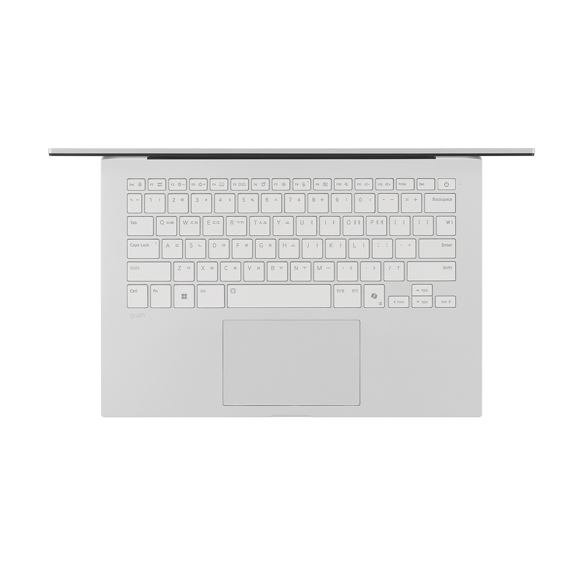 엘지 그램 AI 2026 35.5cm (14/RYZEN5/16GB/ 256GB)