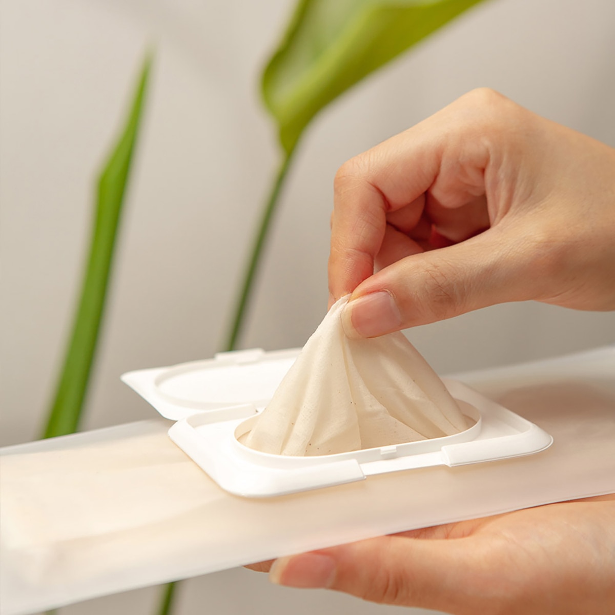 메르슈 무표백 순면 건티슈 150매 x 5