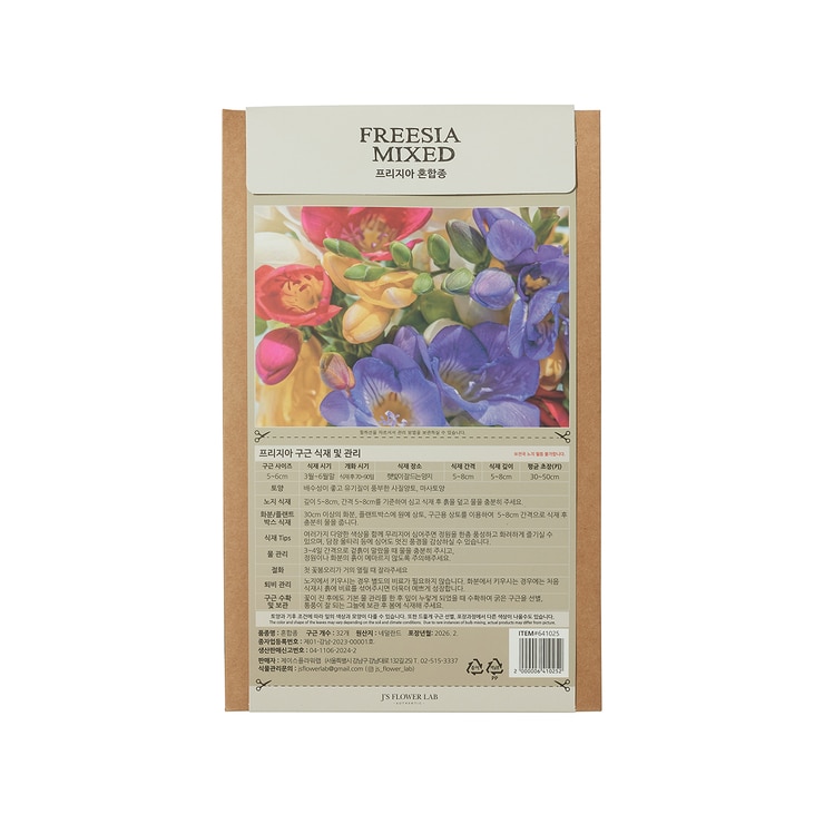 프리지아 구근 / 최소구매 2