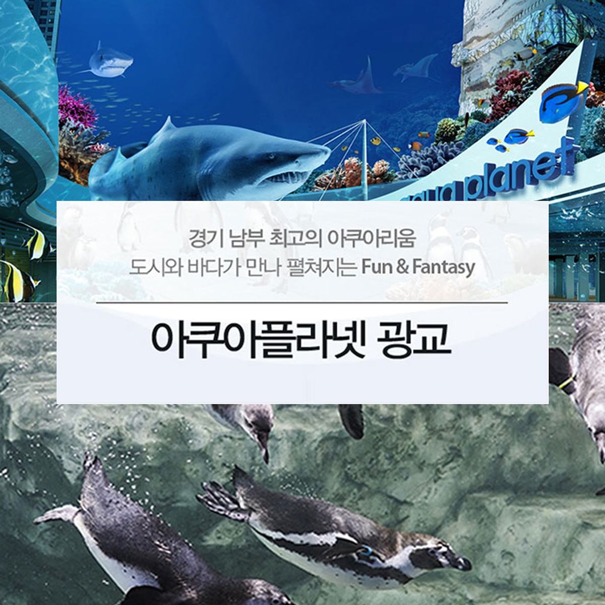 아쿠아플라넷 이용권 (광교점)