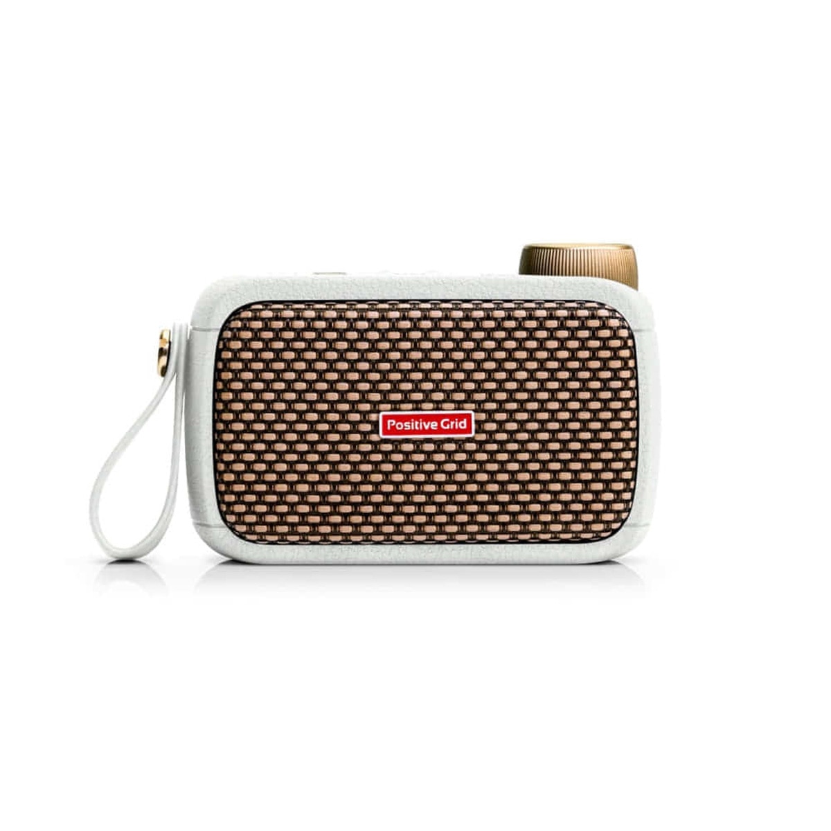 포지티브 그리드 Spark GO 앰프 & 블루투스 스피커