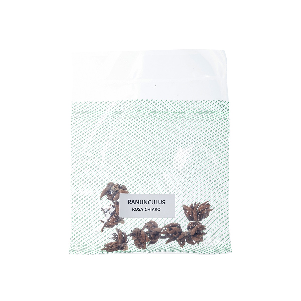 라넌큘러스 구근 / 최소구매 2 - 로사치아로 라넌큘러스 구근 / 최소구매 2 - 로사치아로