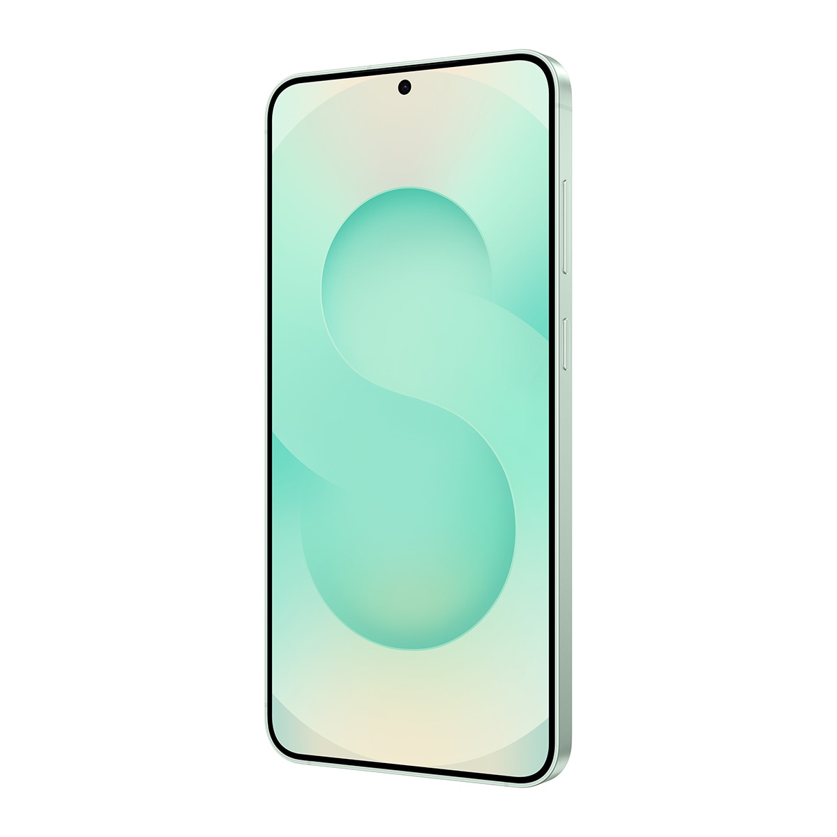 삼성 갤럭시 S25 플러스 256GB 5G - 민트