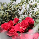 꽃다발 미니 장미 & 파블로 - (장미 - 레드, 파블로 - 그린)