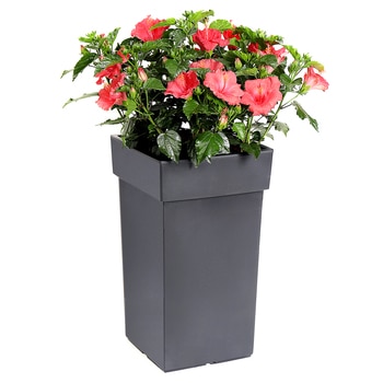 아트 스퀘어 플라스틱 화분 ３개