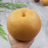 프리미엄 배 선물세트 7.5kg(11~12입)