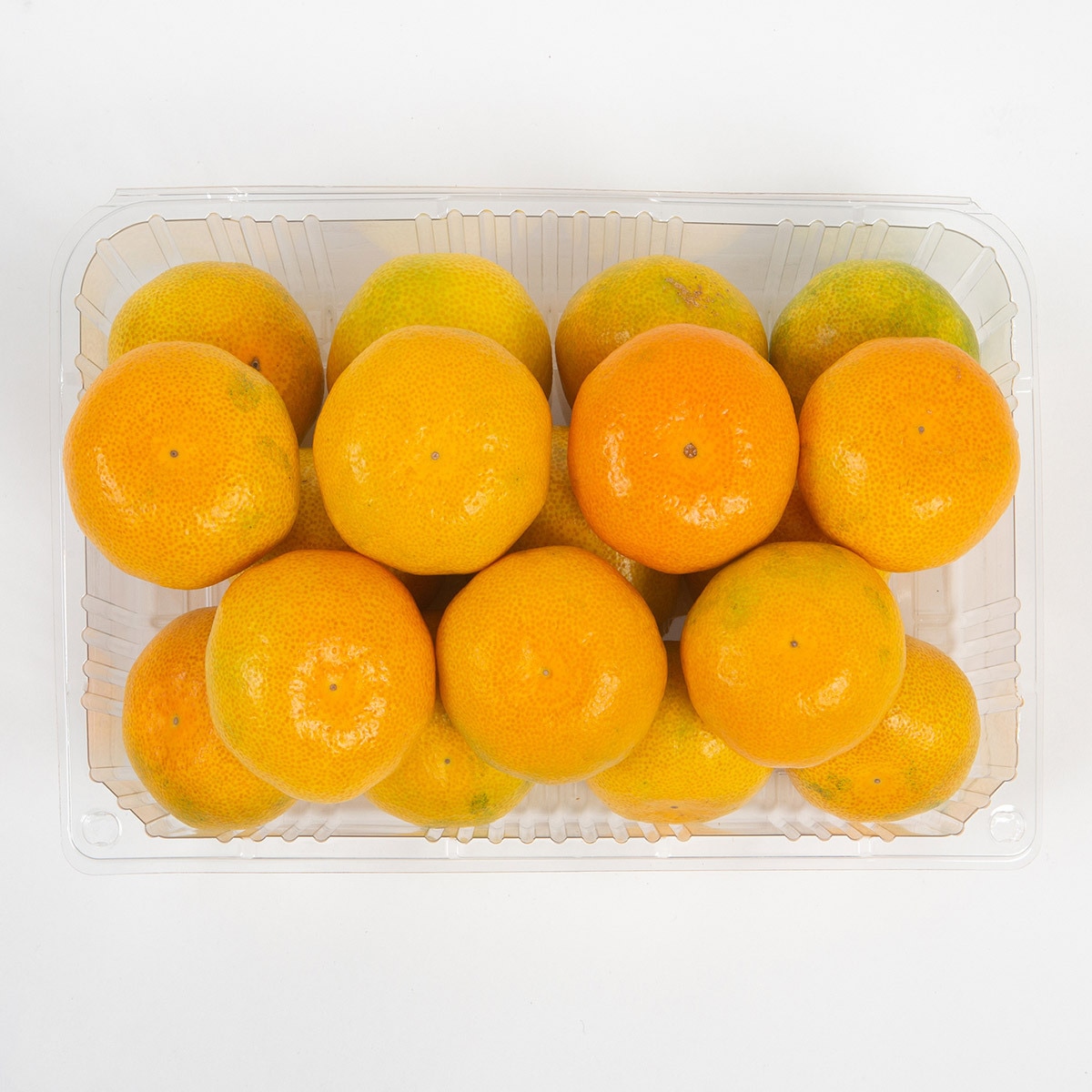 하우스밀감 한팩 1.5KG