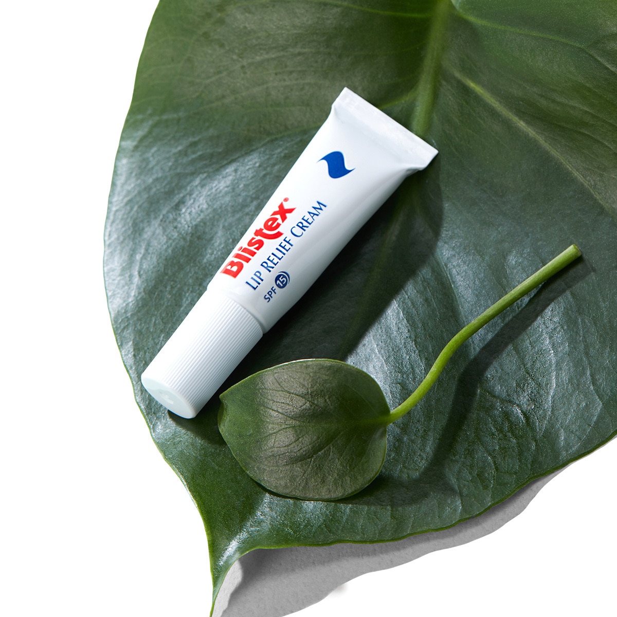 블리스텍스 립 릴리프 크림 6ml X 4ct